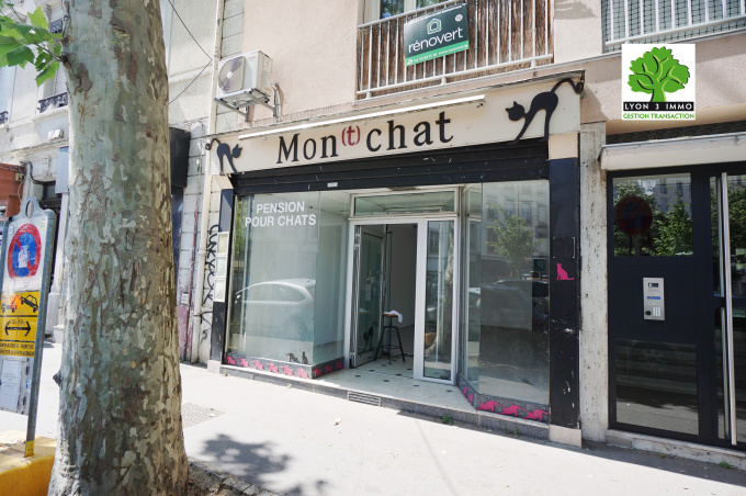 Location Immobilier Professionnel Local commercial Lyon (69003)